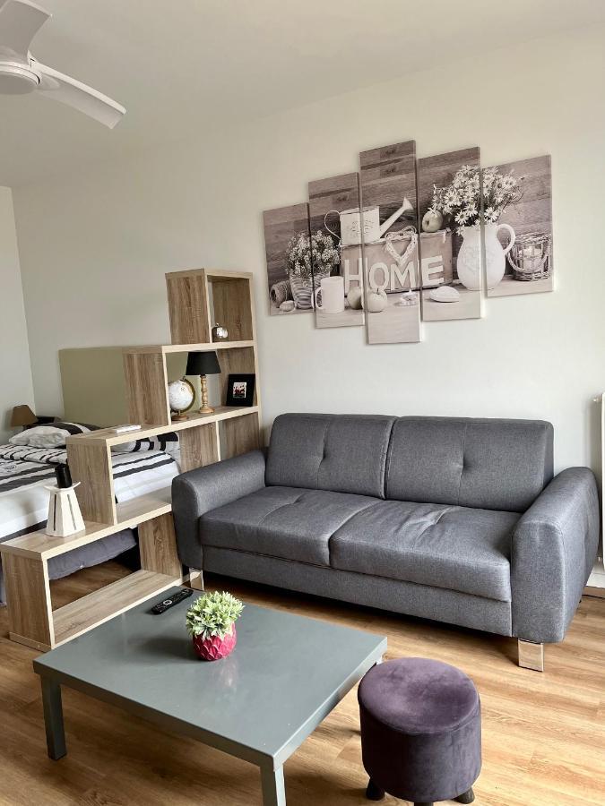Appartement Rue Condorcet Parking Prive- Dabnb Limoges Exterior foto